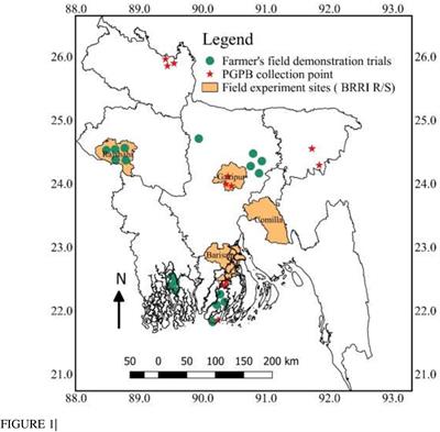 Bio-Organic Fertilizer: A Green Technology to Reduce Synthetic N and P Fertilizer for Rice Production